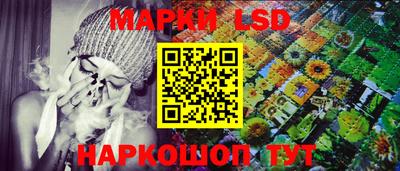 стаф Тара