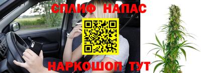 стаф Тара