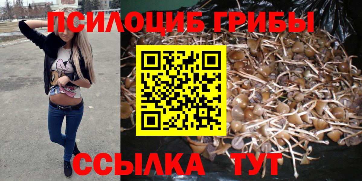 Галлюциногенные грибы мицелий Волгодонск
